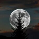 ¡No te la pierdas! La «luna de la cosecha» de octubre trae la primera superluna de 2025: fecha y hora.